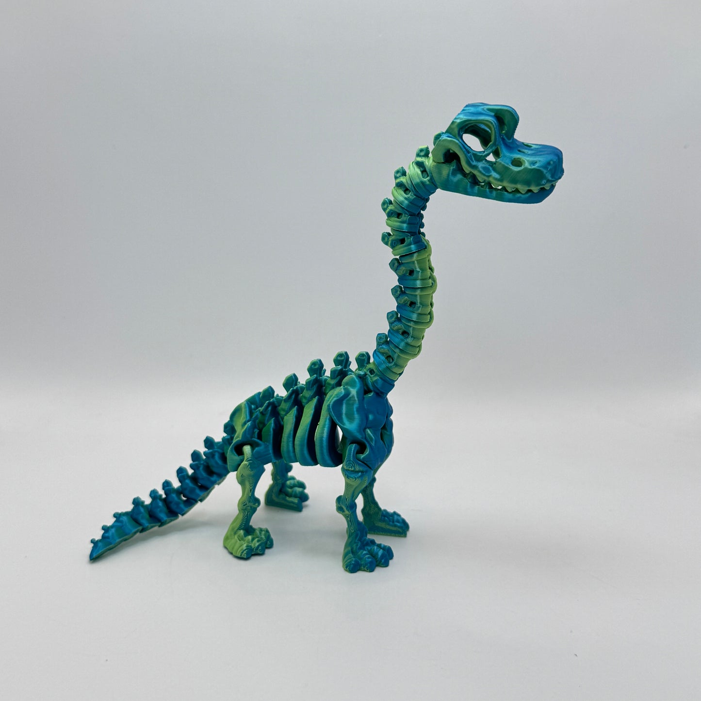 Skeleton Brachiosaurus