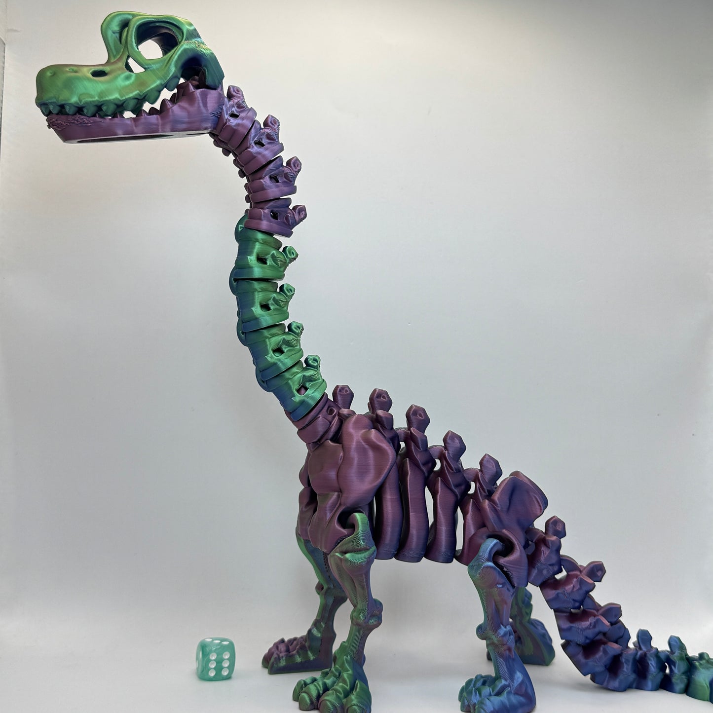 Skeleton Brachiosaurus