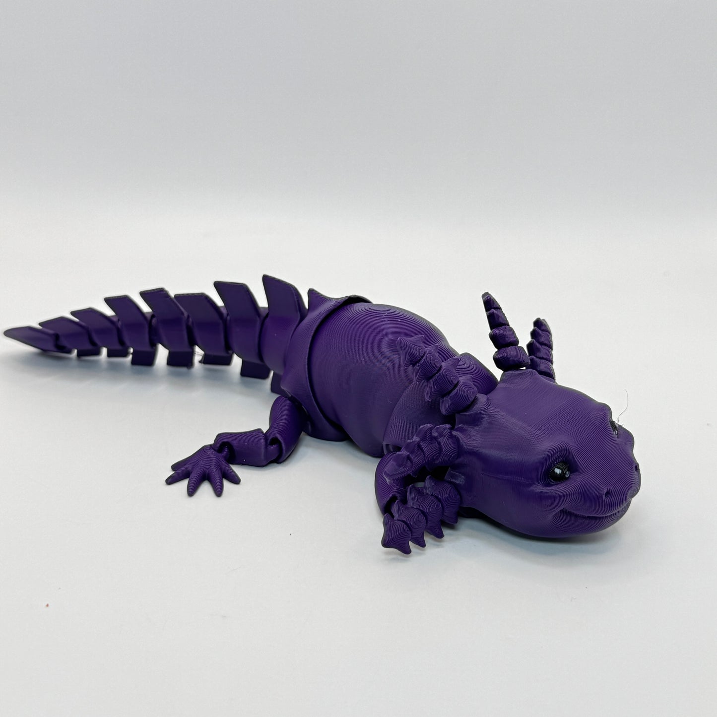 Axolotl