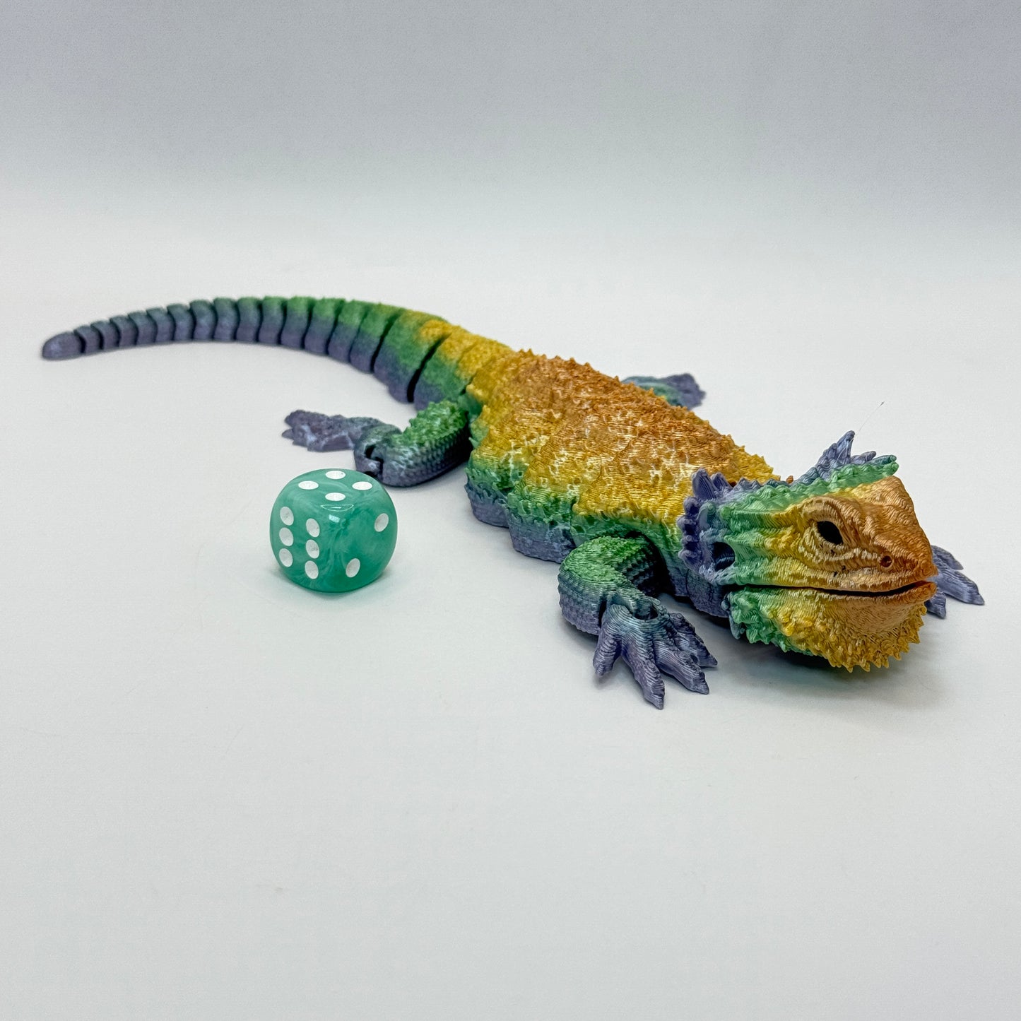 Bearded Dragon