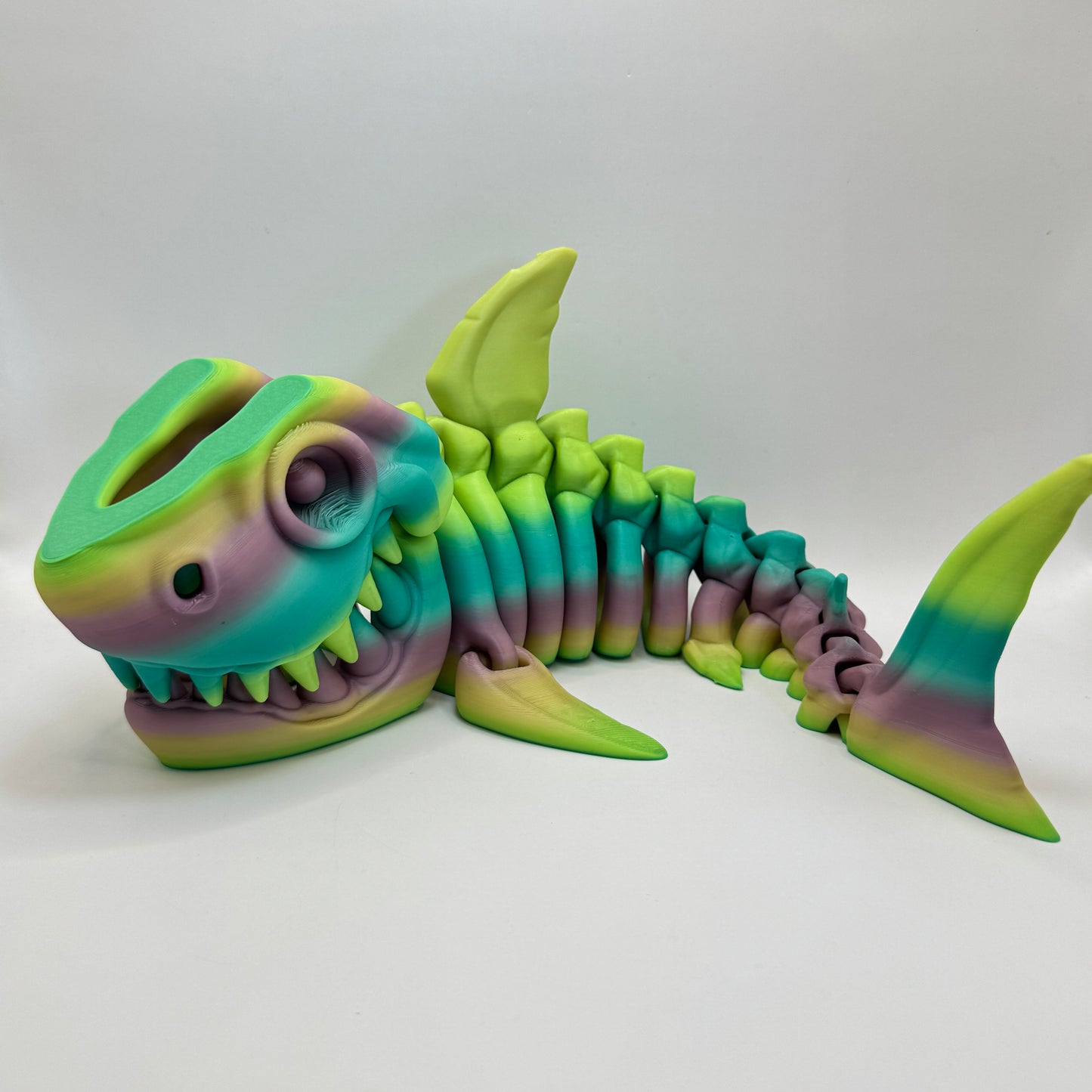 Skeleton Shark