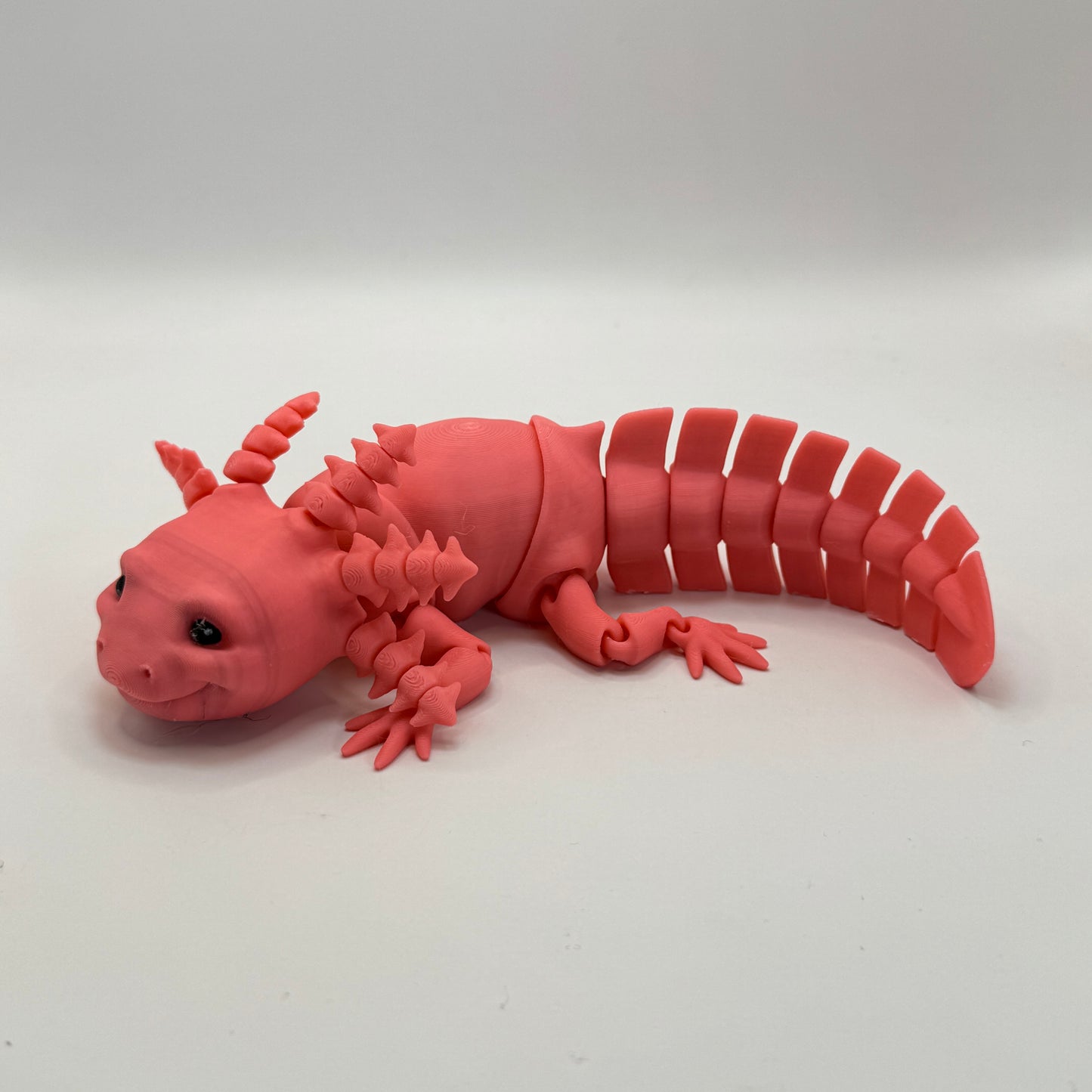 Axolotl