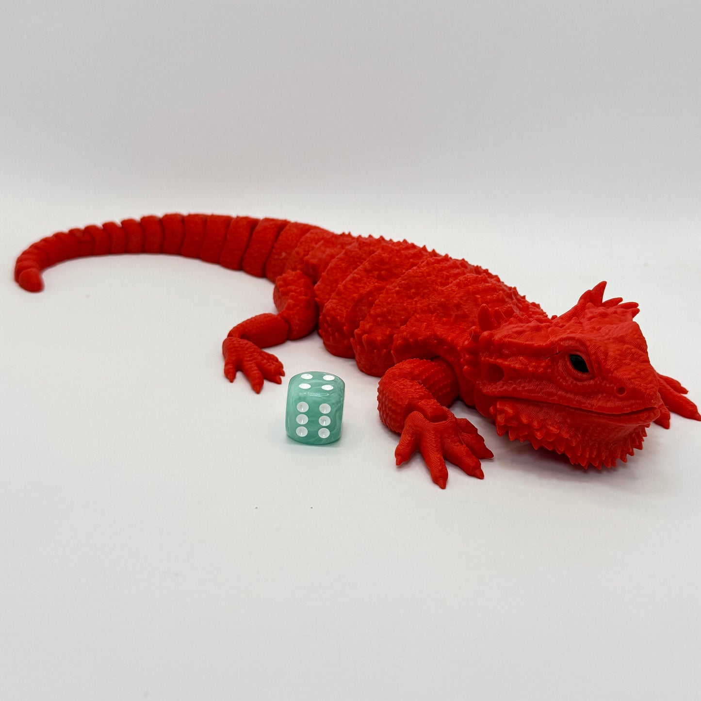 Bearded Dragon
