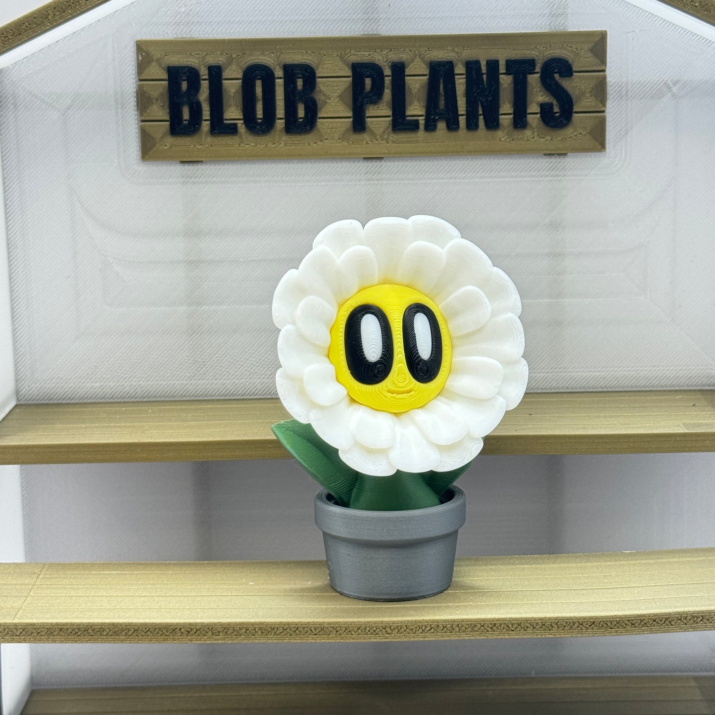 Blob Plant (Daisy)