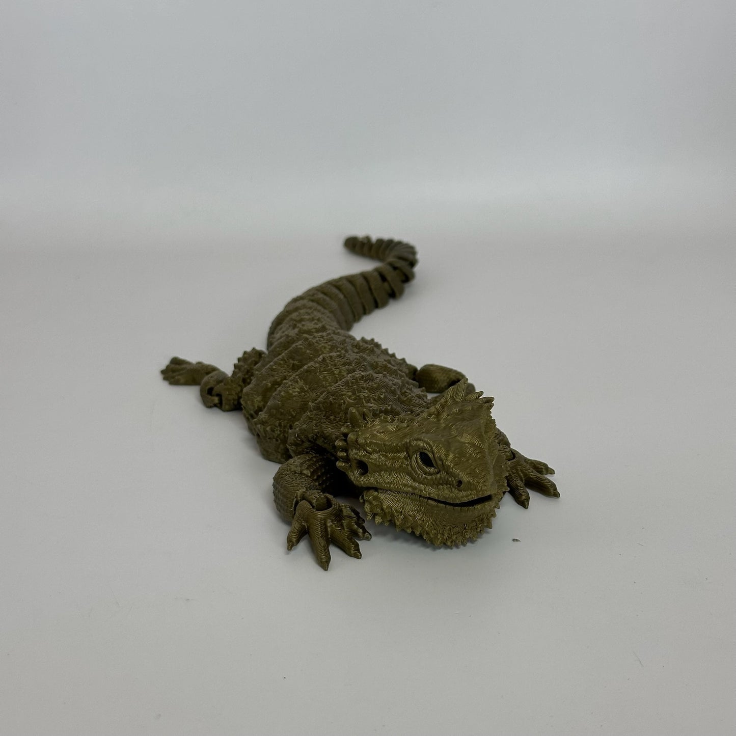 Bearded Dragon