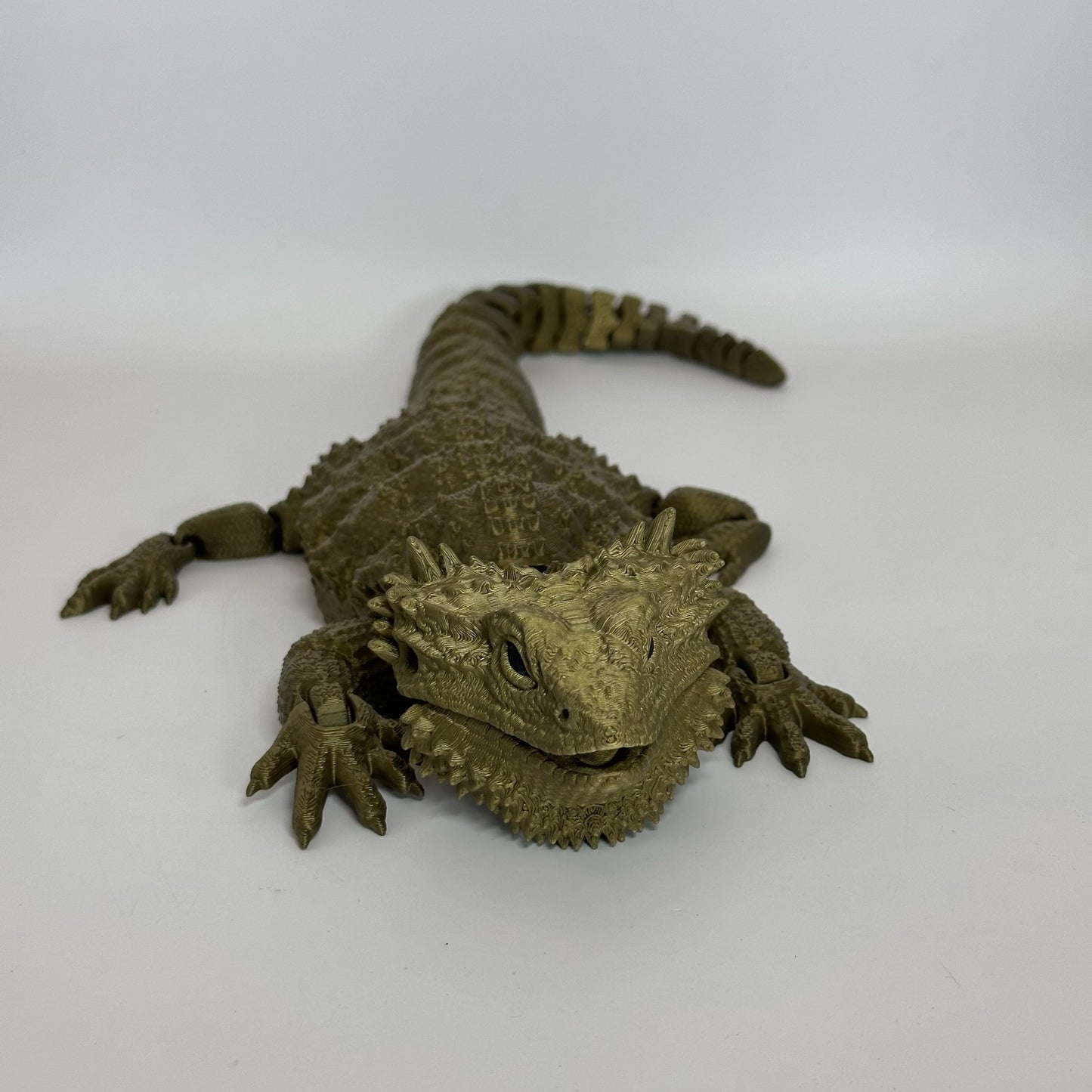 Bearded Dragon