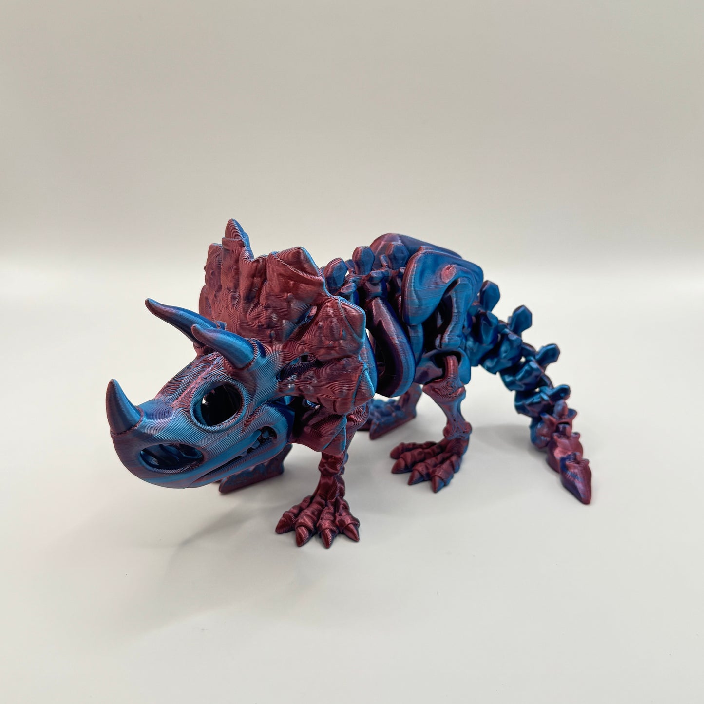 Skeleton Triceratops