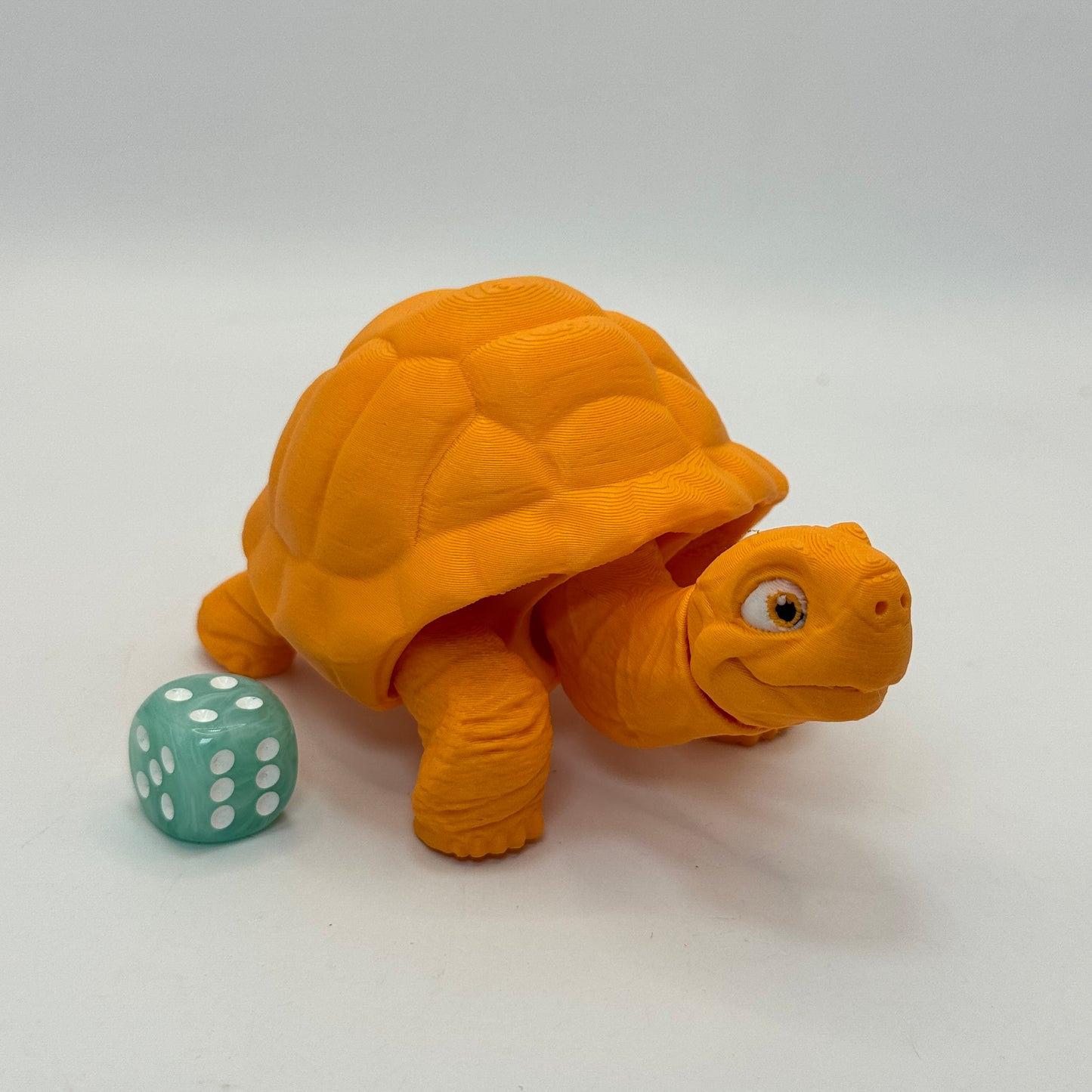 Tortoise
