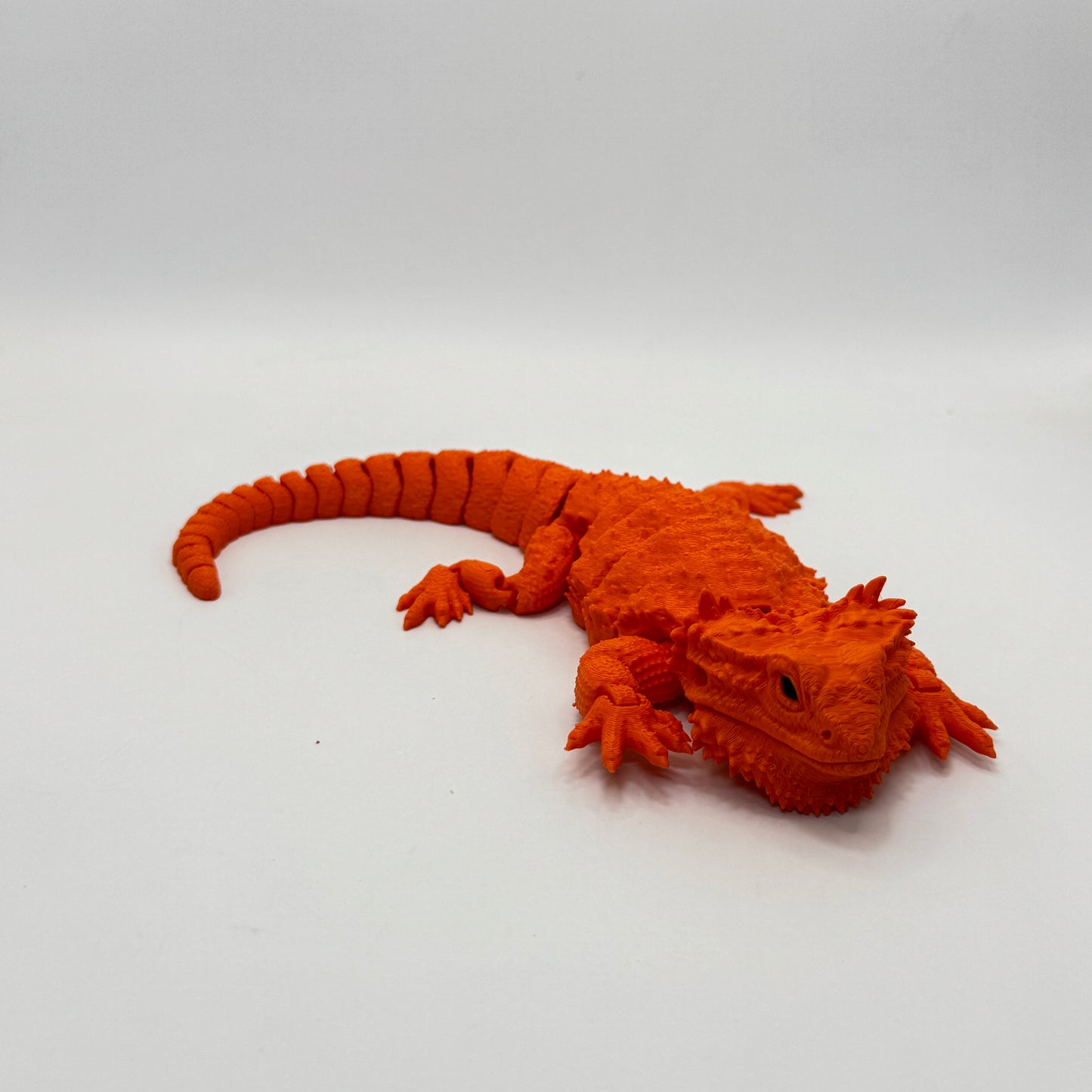 Bearded Dragon