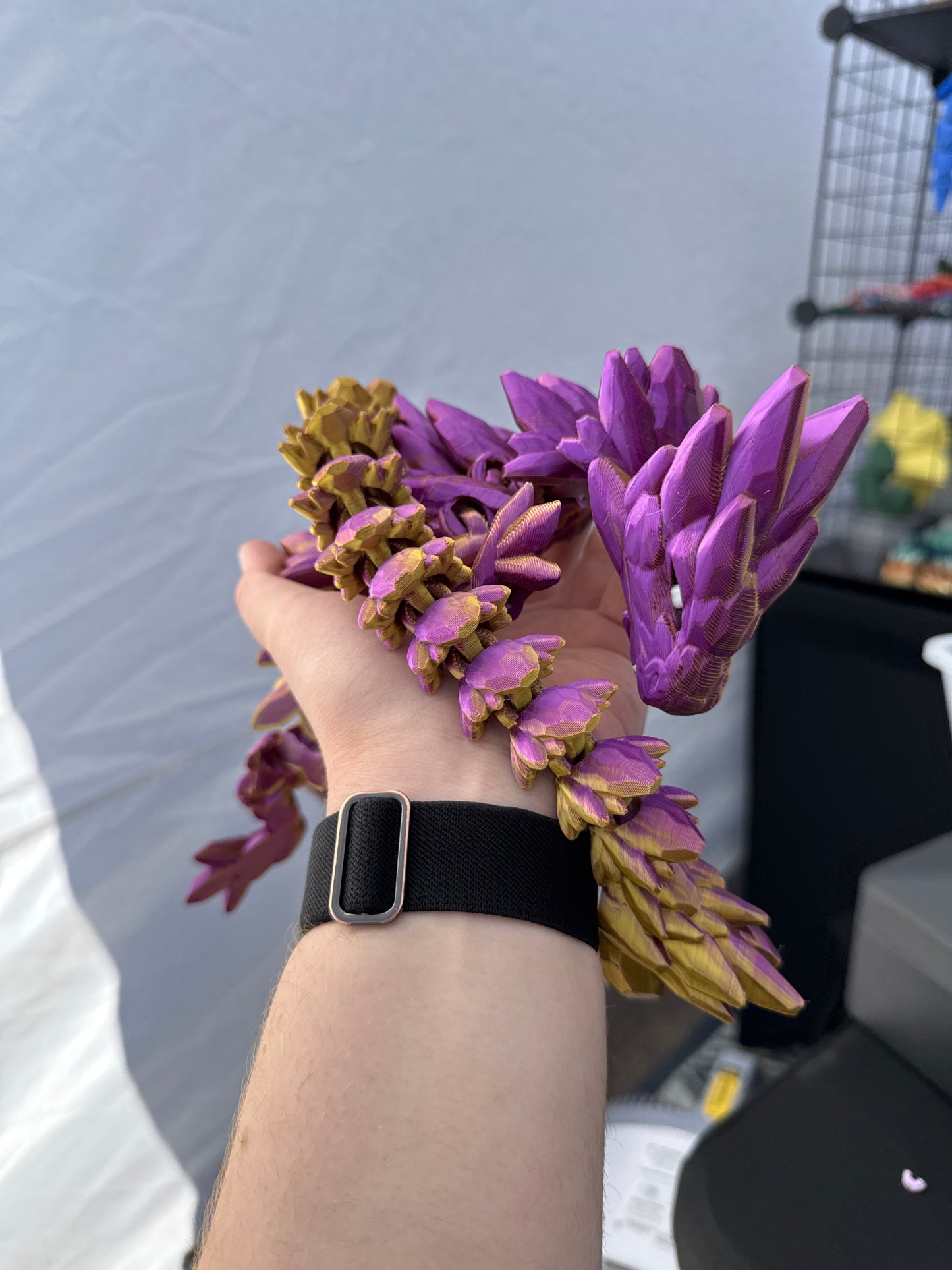 Adult crystal dragons