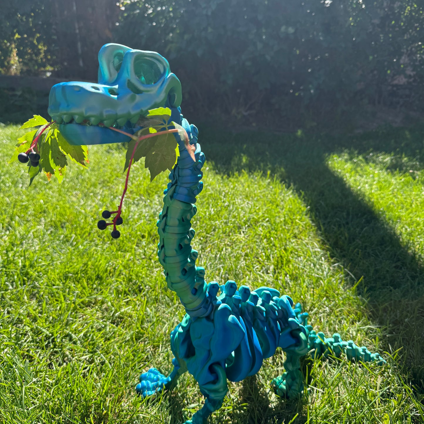 Skeleton Brachiosaurus