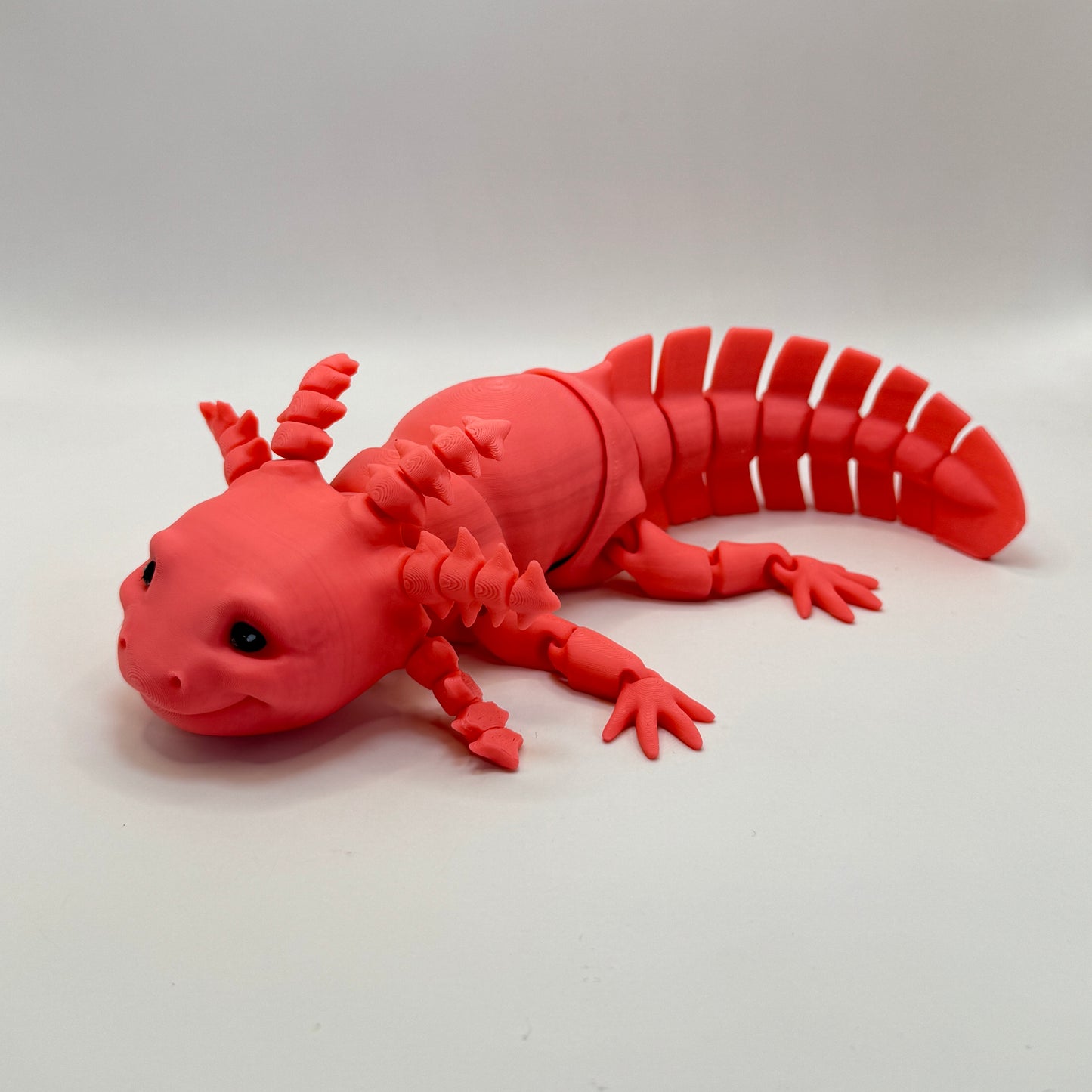 Axolotl