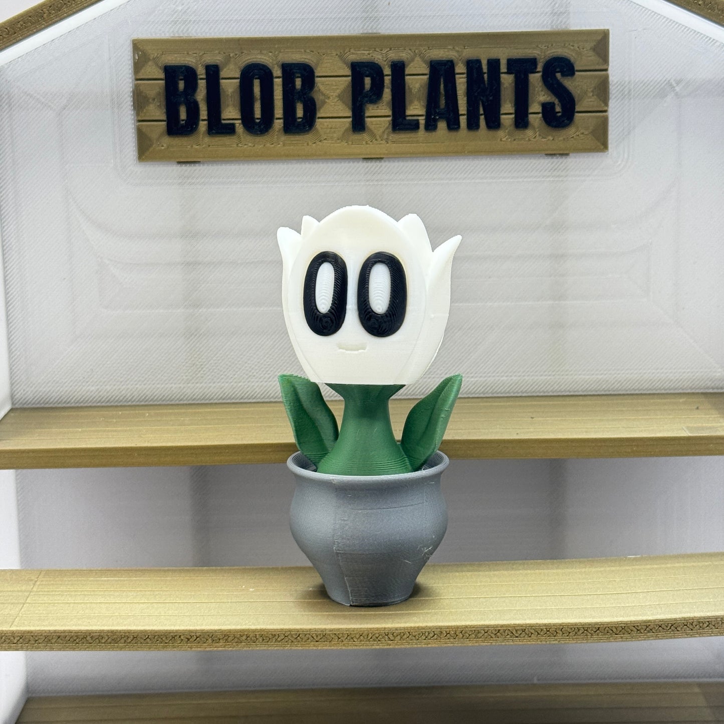 Blob Plant (Tulip)