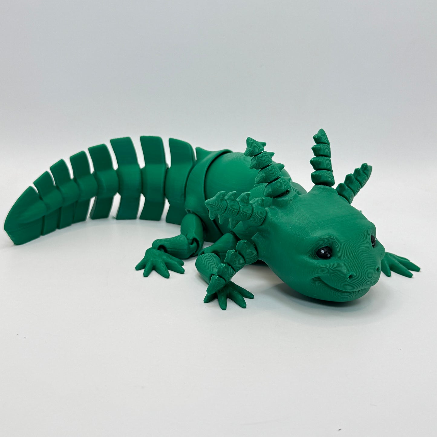 Axolotl