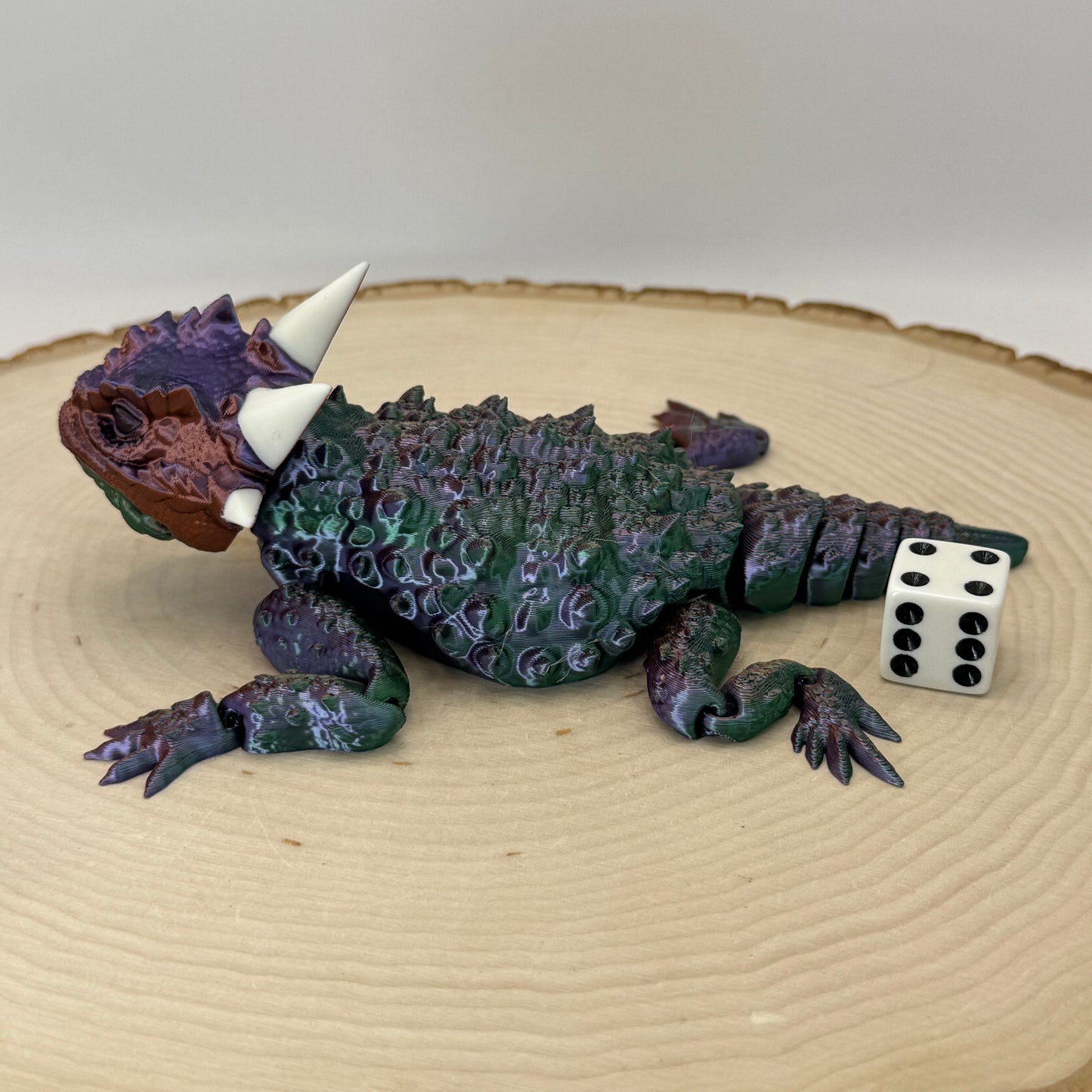 Horned Lizard