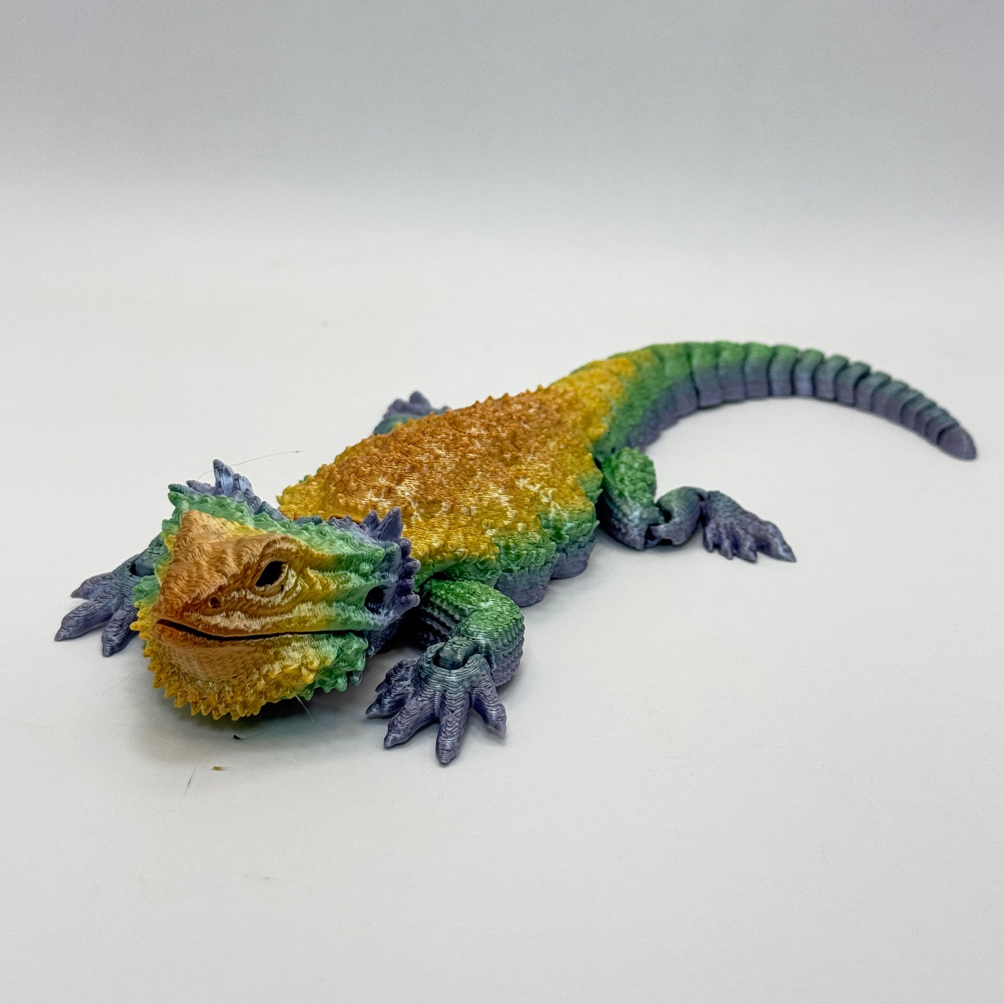 Bearded Dragon