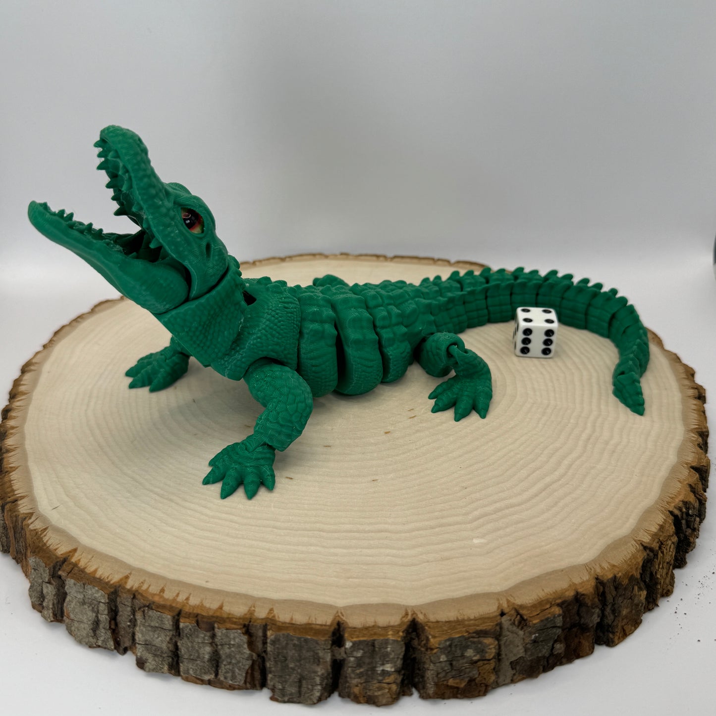 Alligator