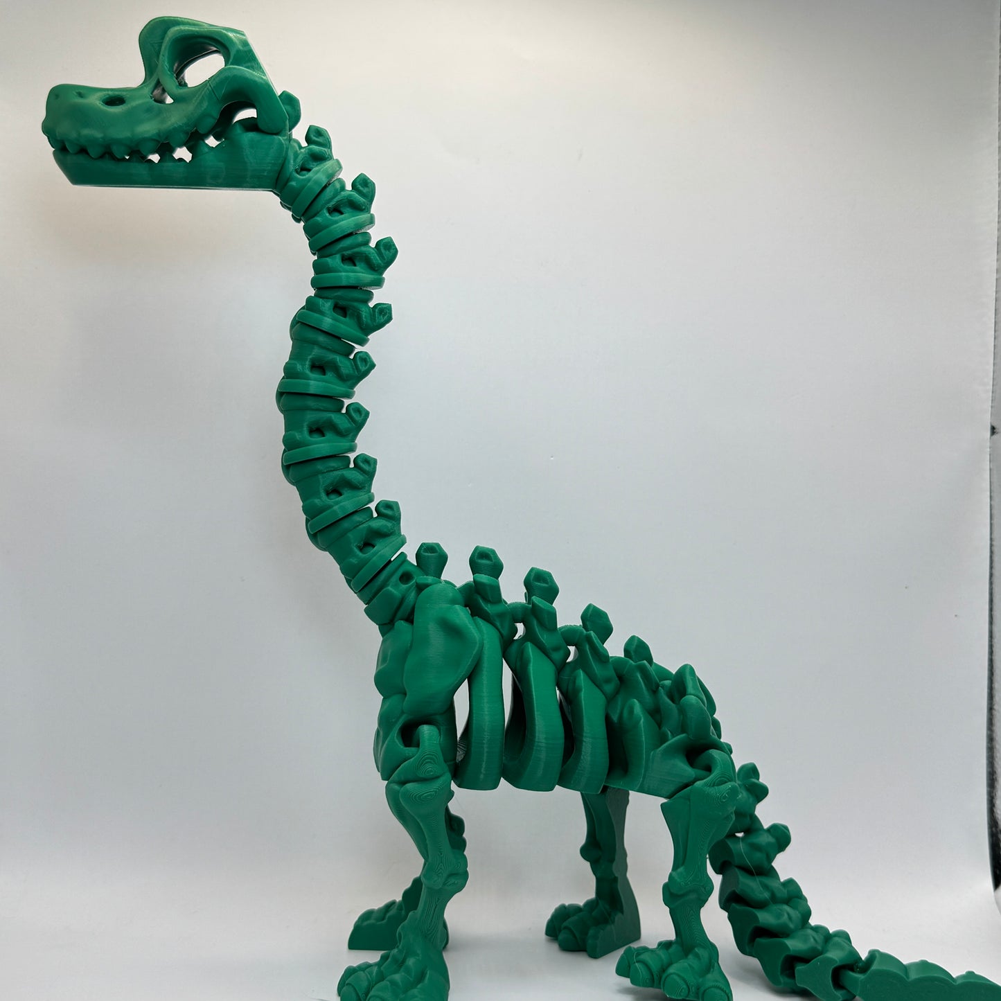 Skeleton Brachiosaurus