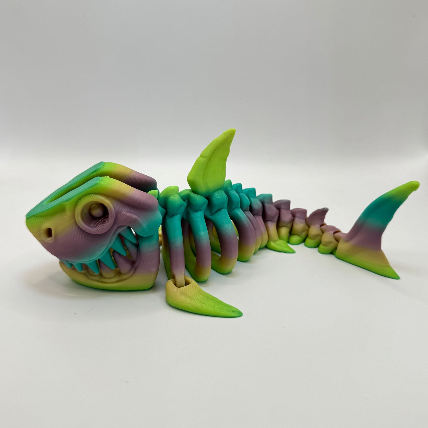 Skeleton Shark