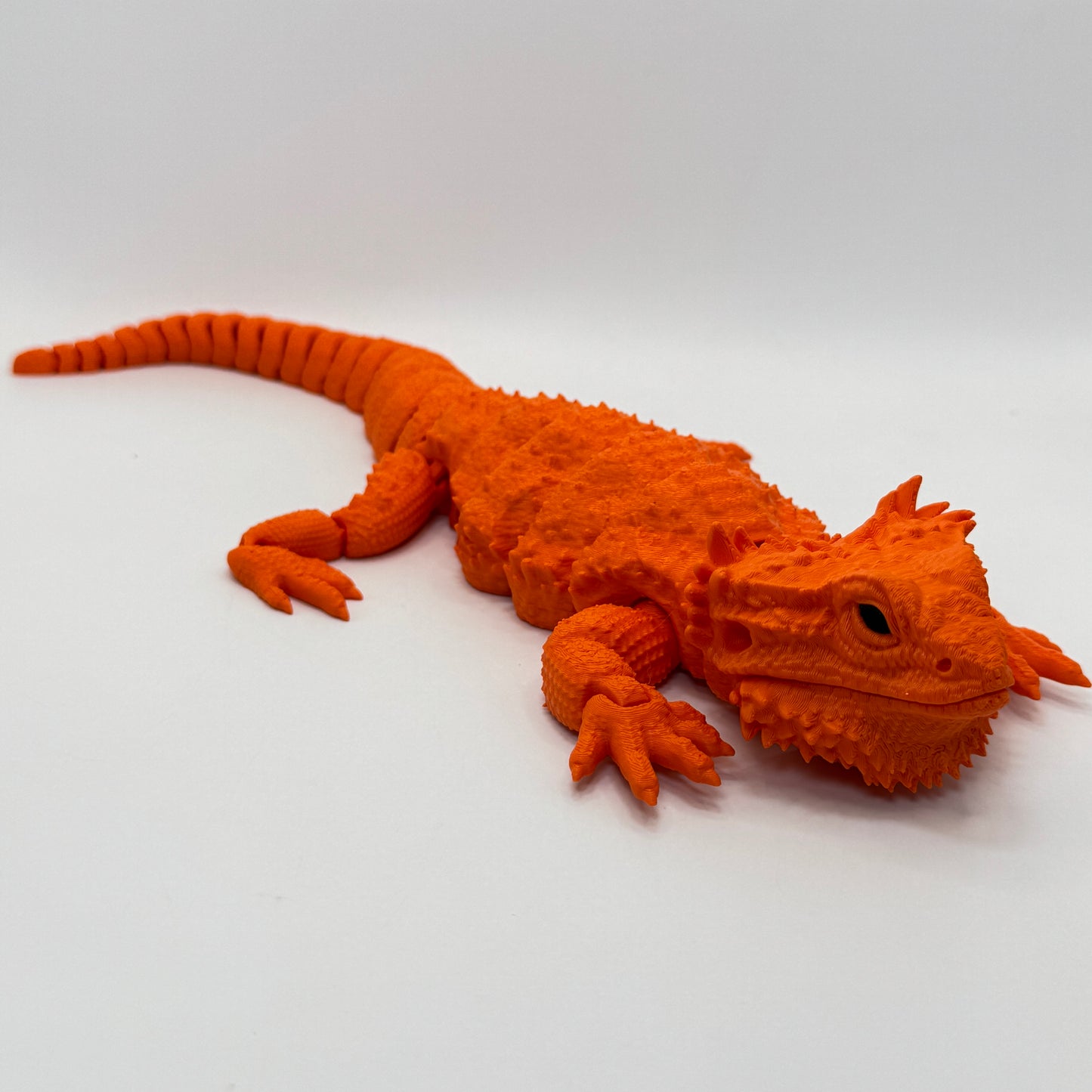 Bearded Dragon