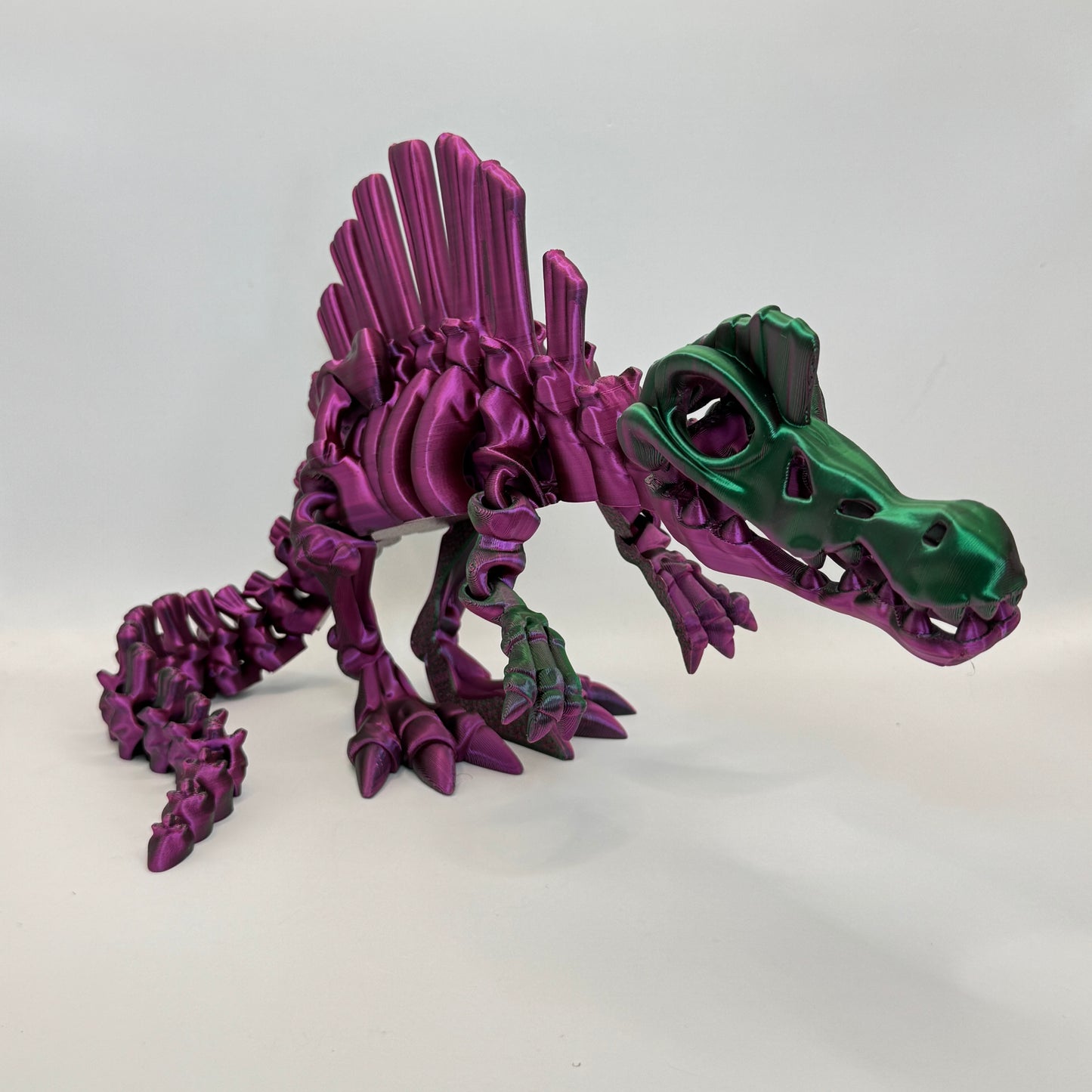 Skeleton Spino
