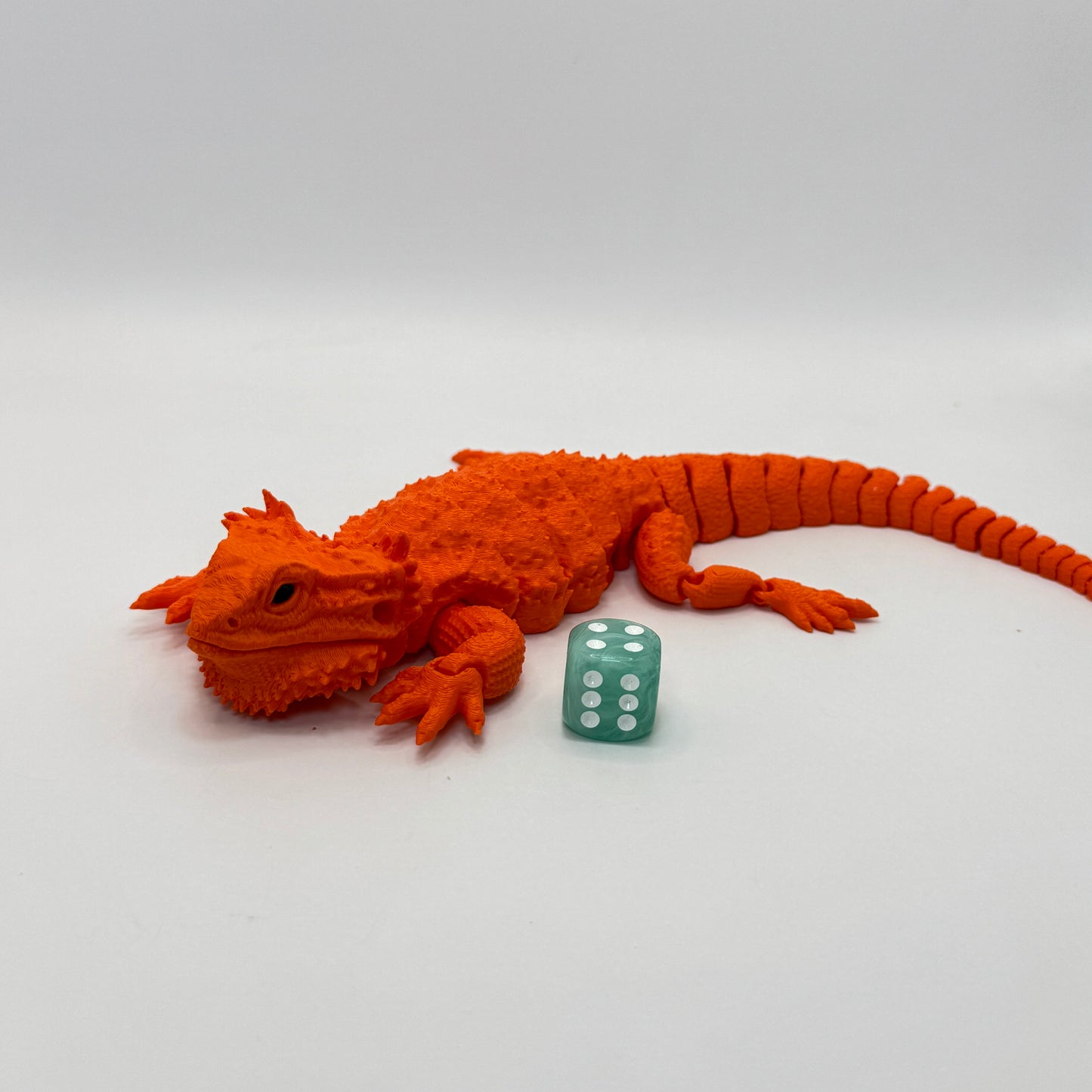 Bearded Dragon