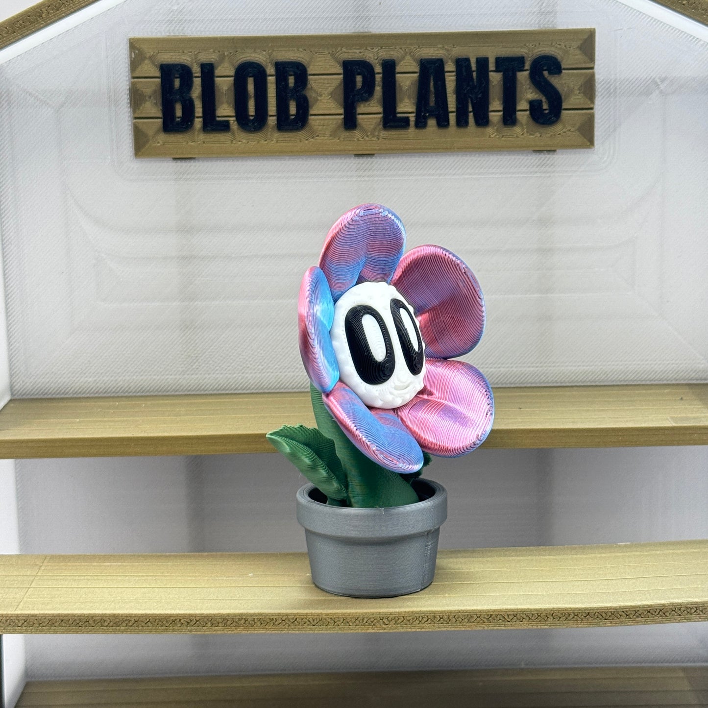 Blob Plant (Blob Flower)