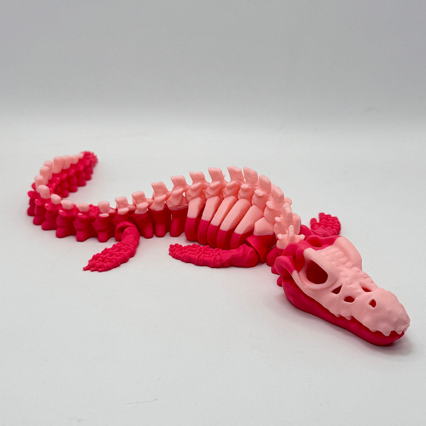 Skeleton Mosasaurus