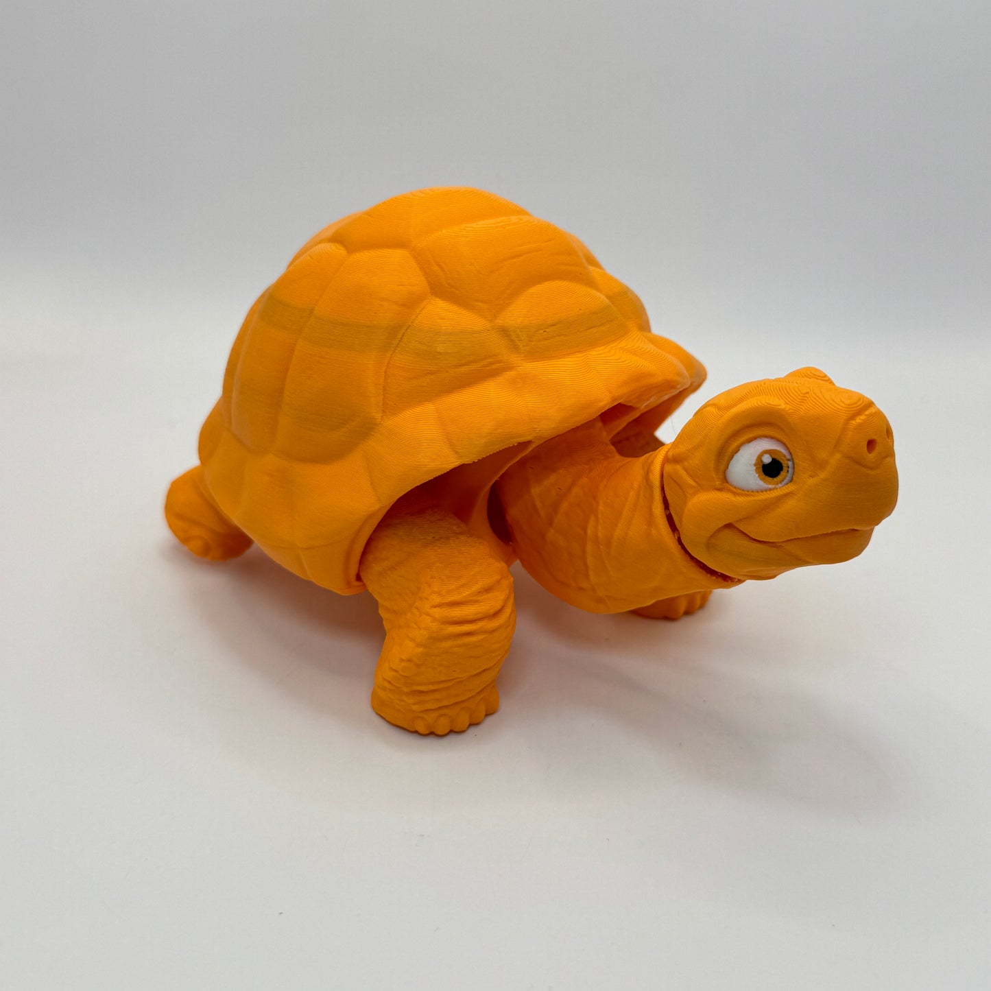 Tortoise