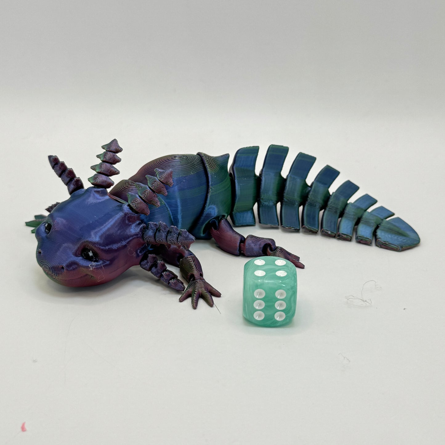 Axolotl