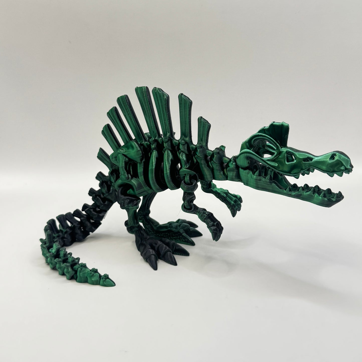 Skeleton Spino