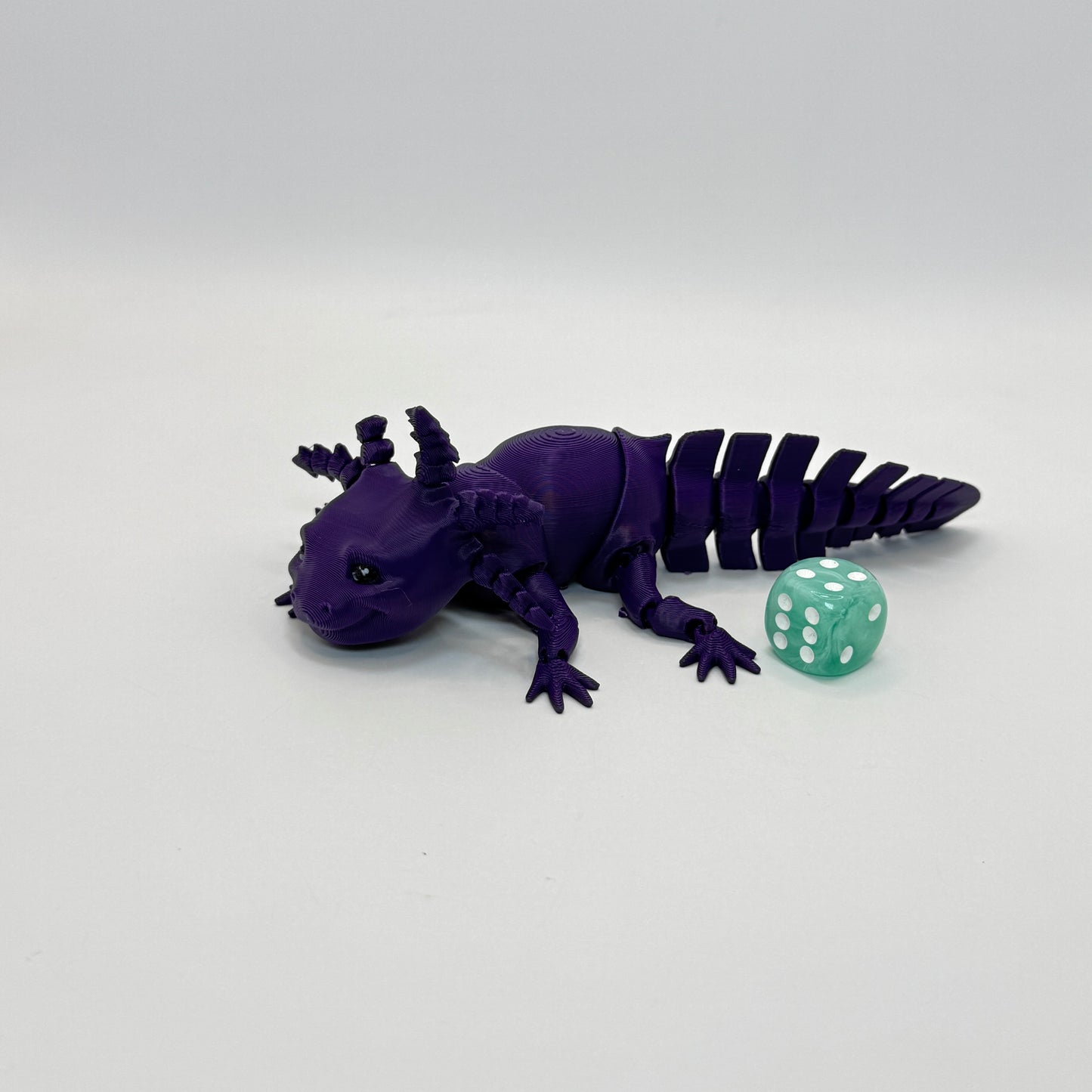 Axolotl