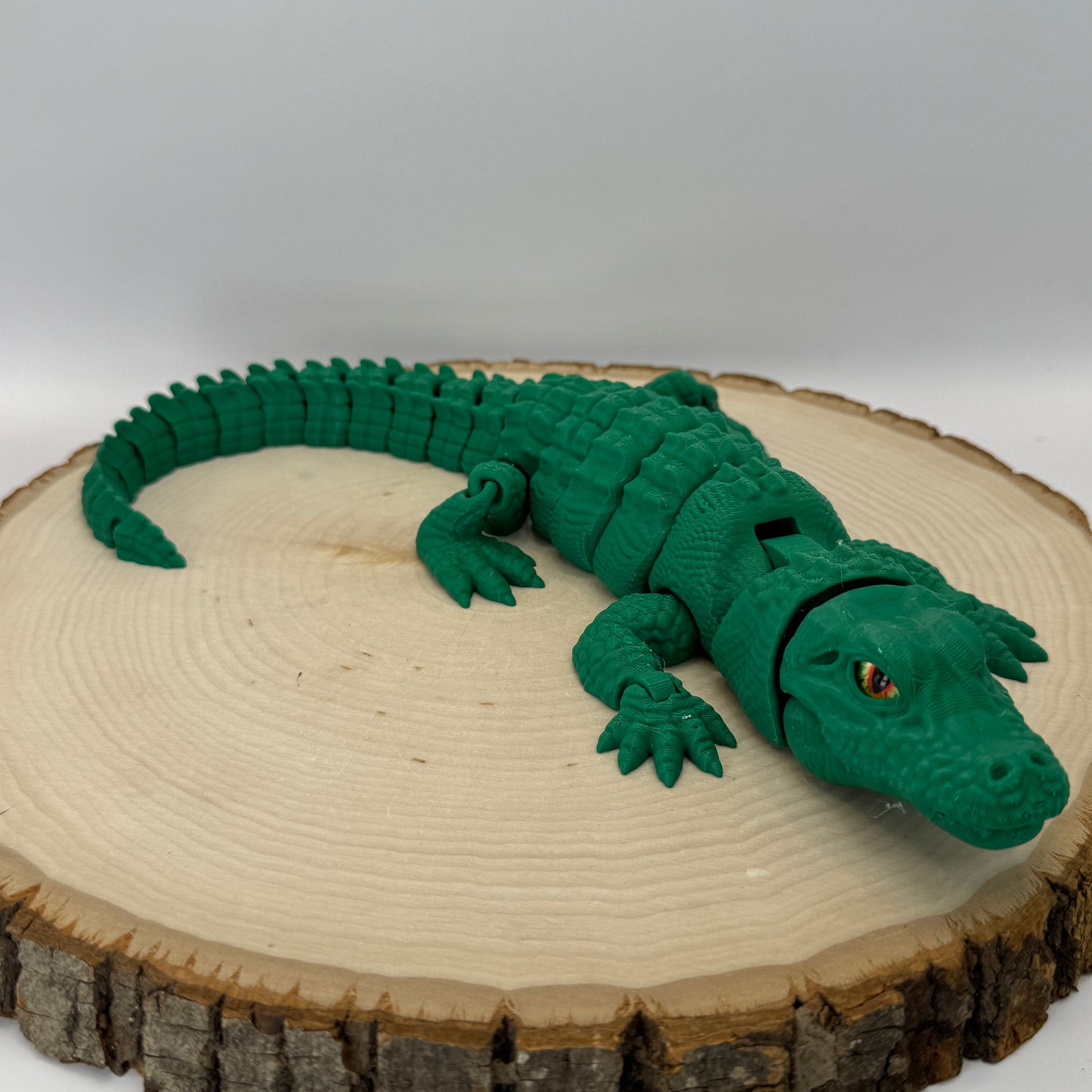 Alligator