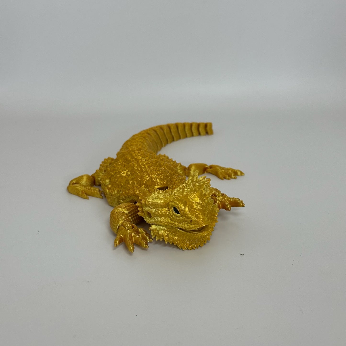 Bearded Dragon