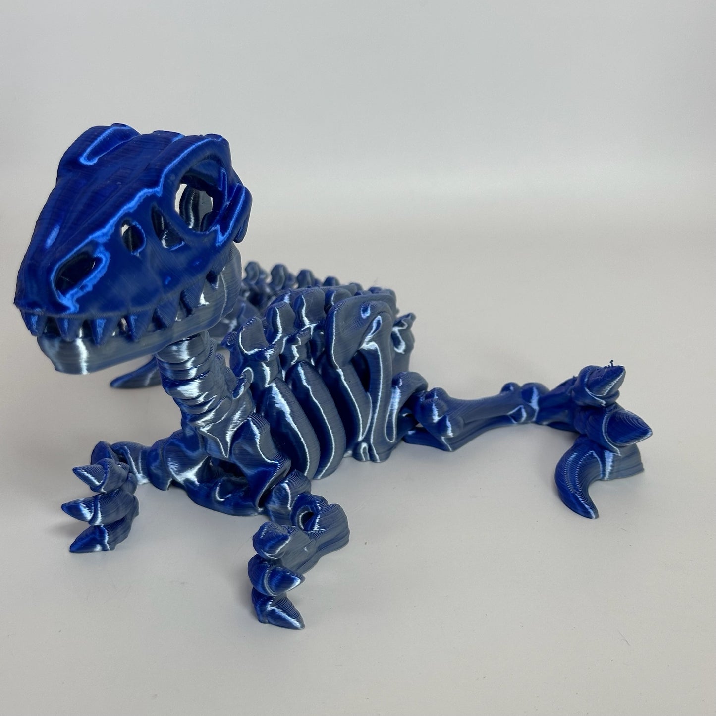 Skeleton Raptor