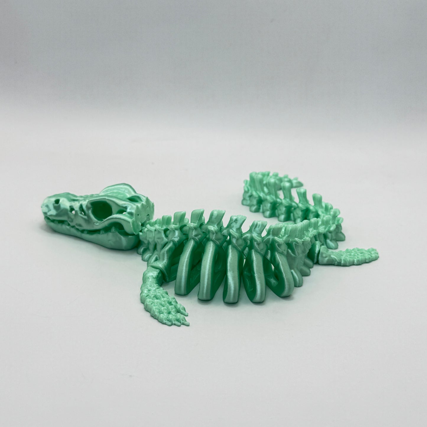 Skeleton Mosasaurus