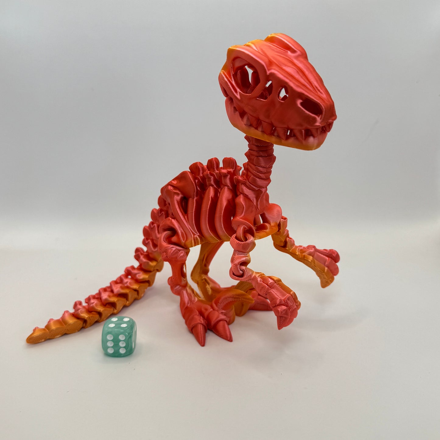 Skeleton Raptor
