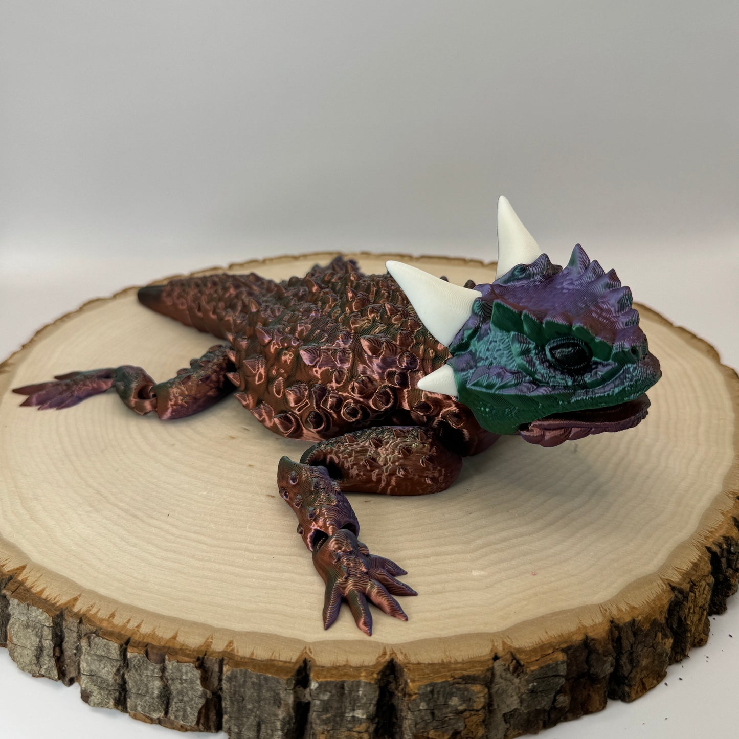 Horned Lizard