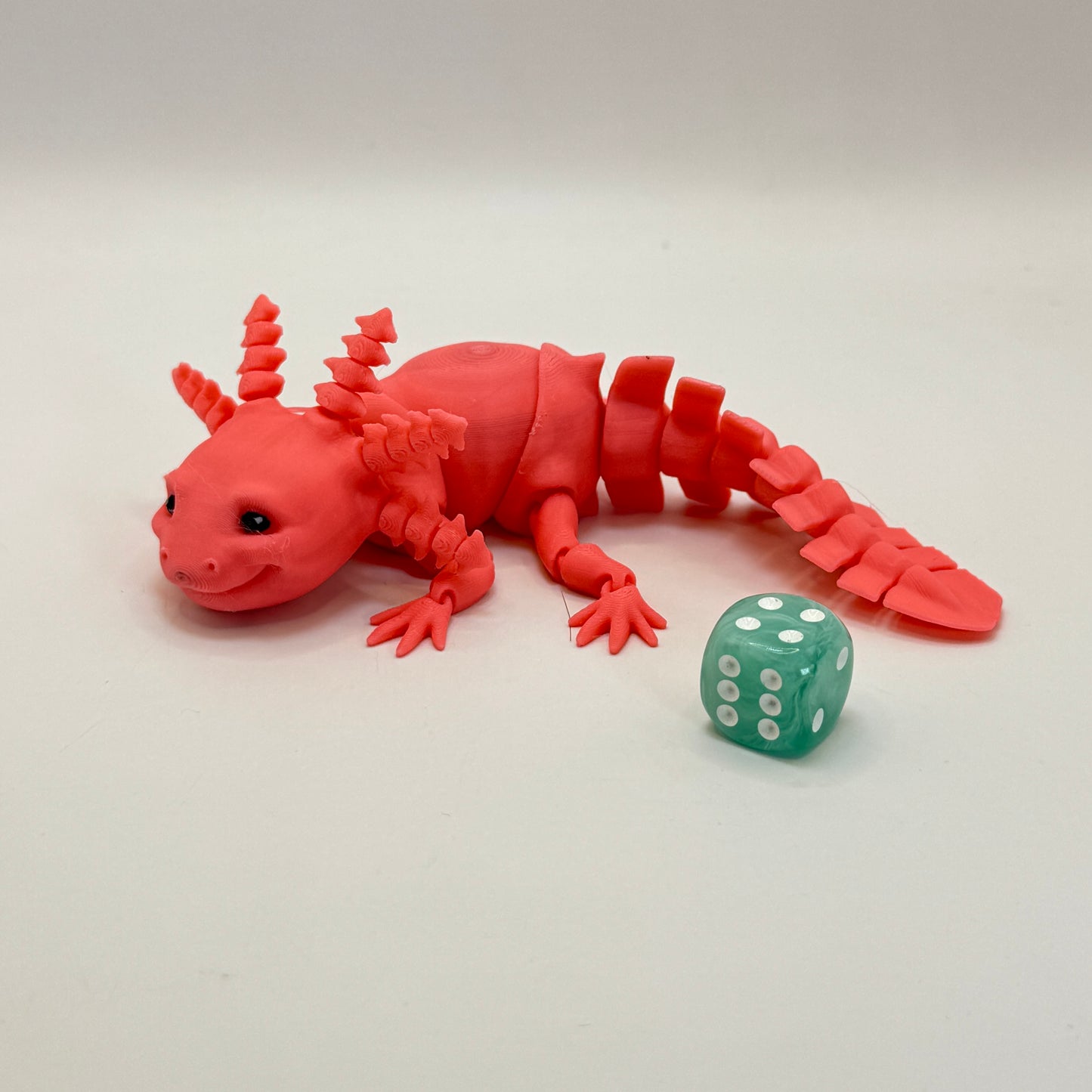 Axolotl