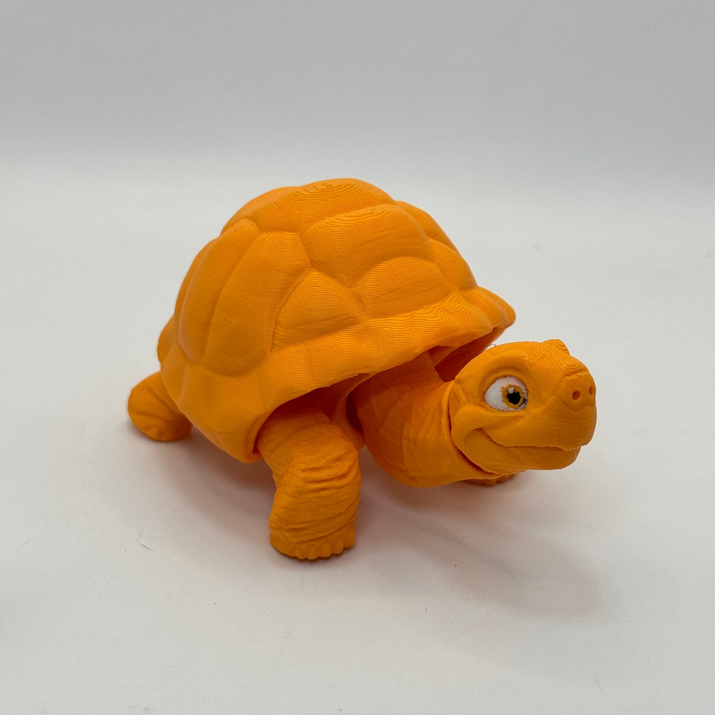 Tortoise