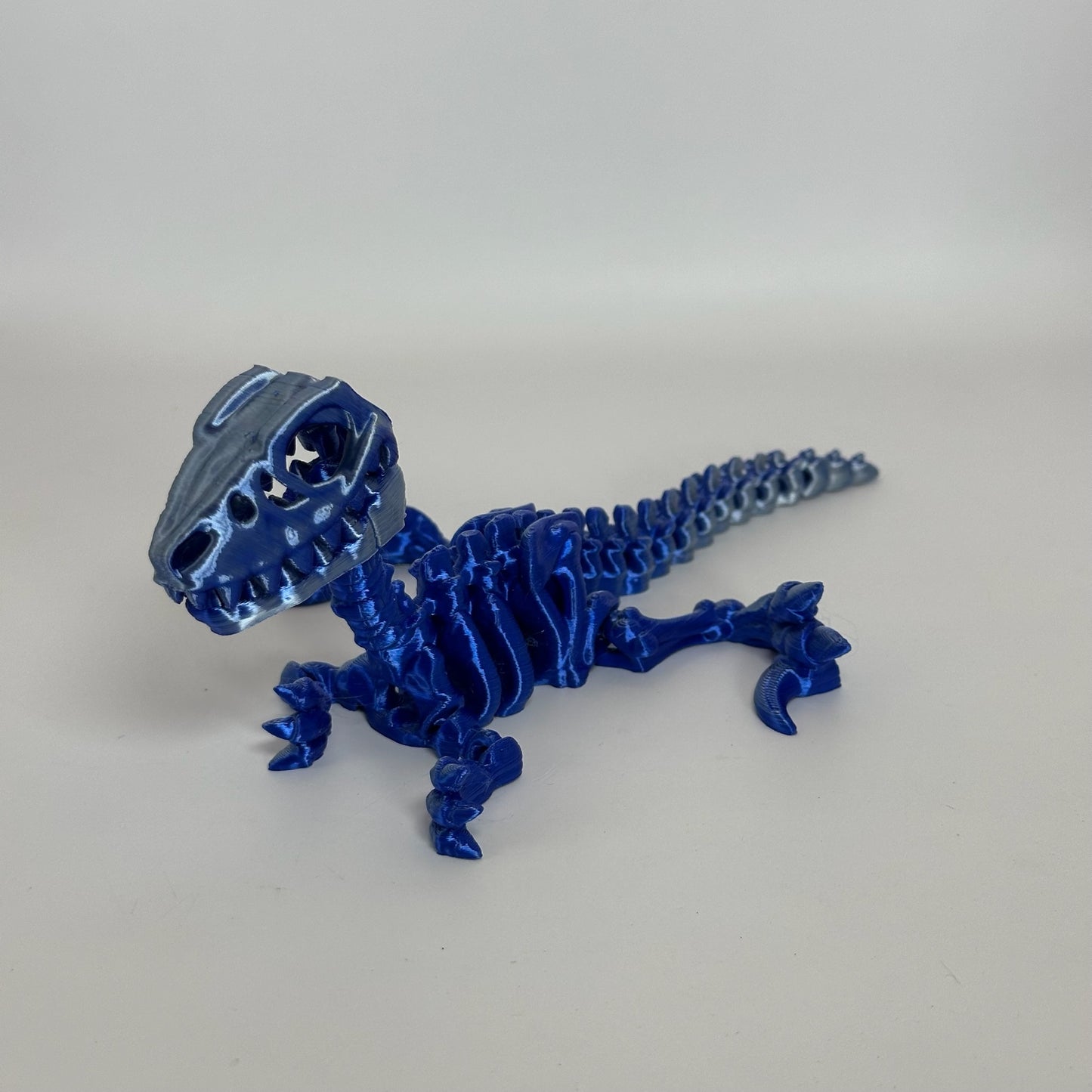 Skeleton Raptor