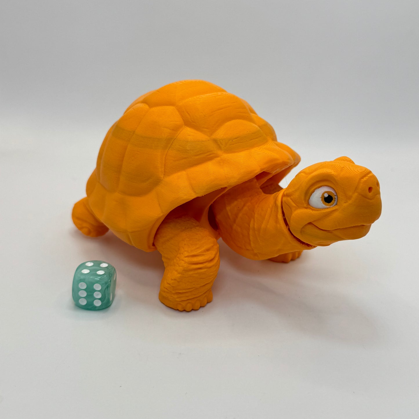 Tortoise