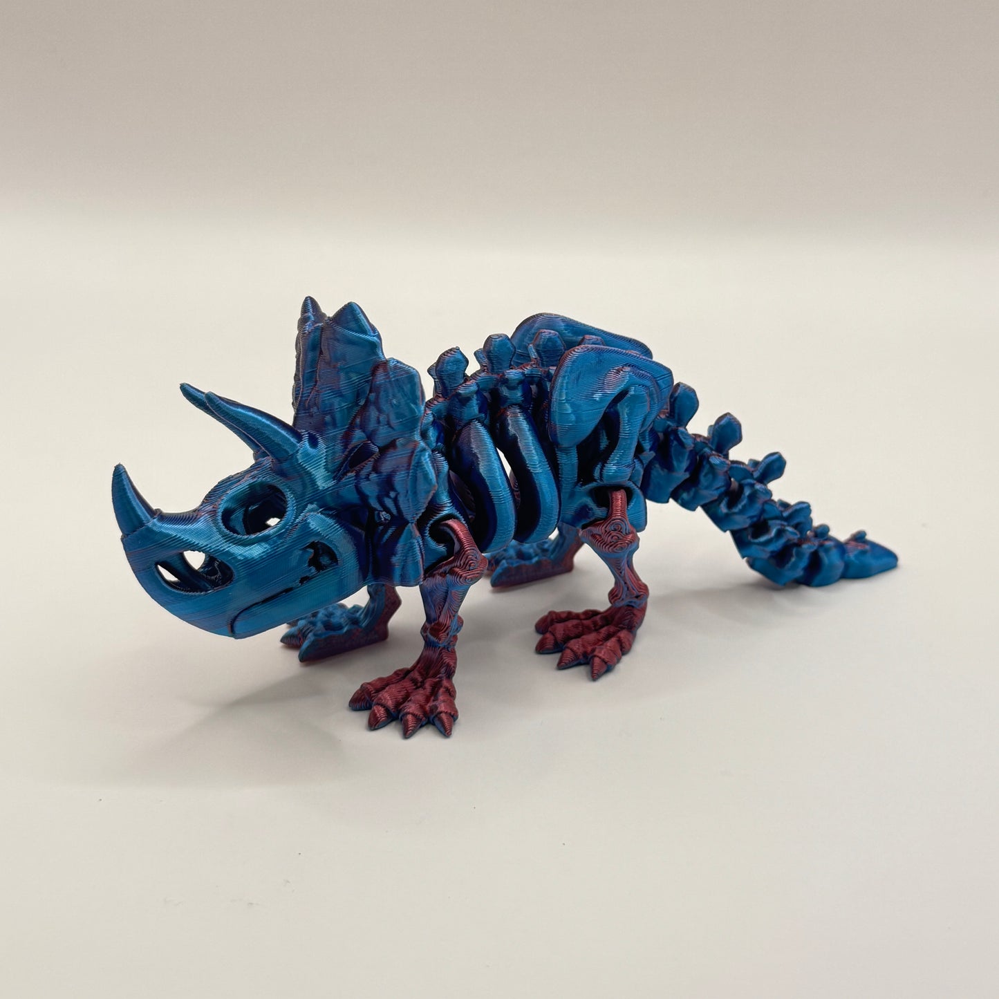 Skeleton Triceratops