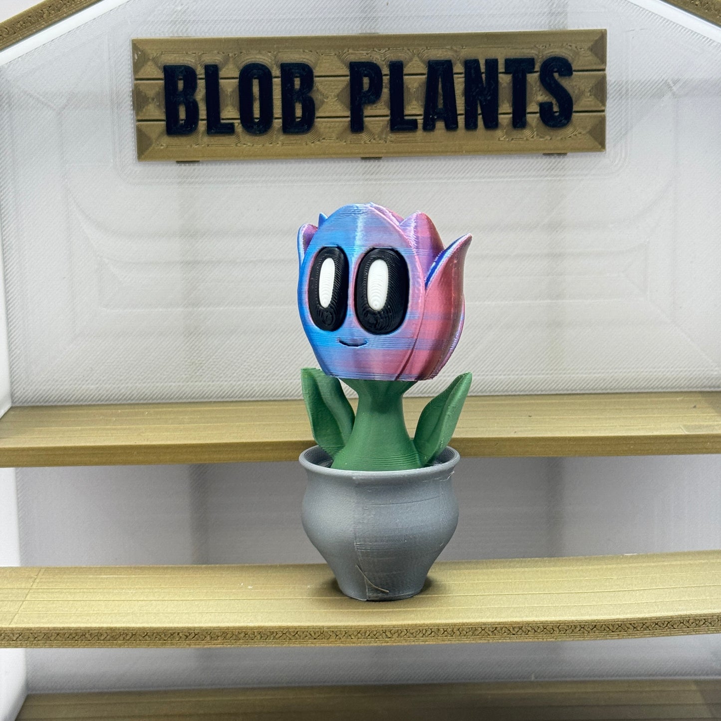 Blob Plant (Tulip)