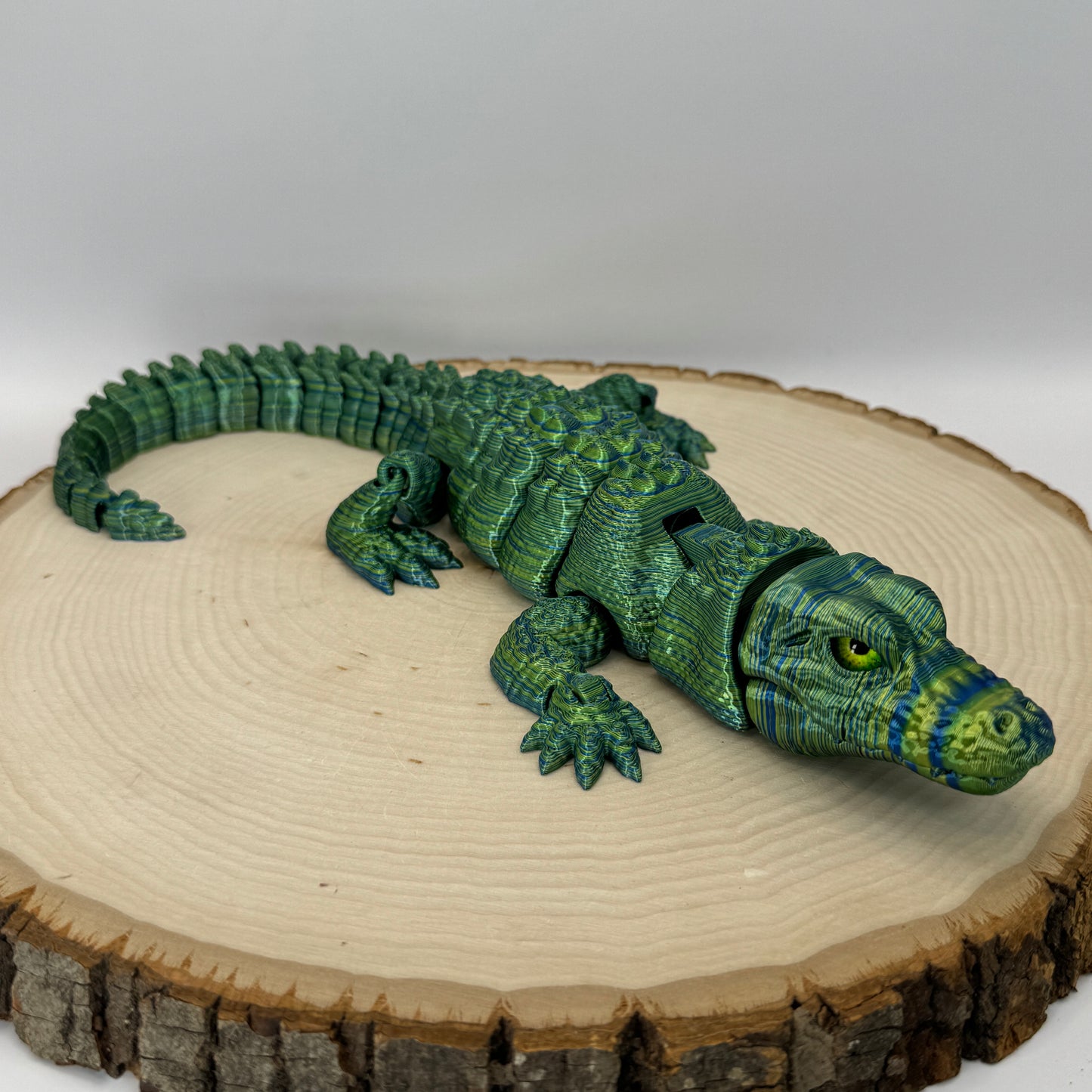 Alligator
