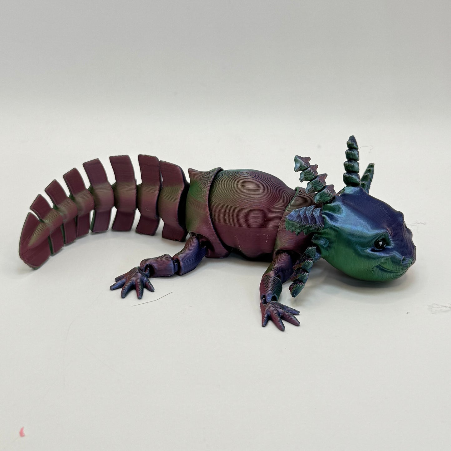 Axolotl