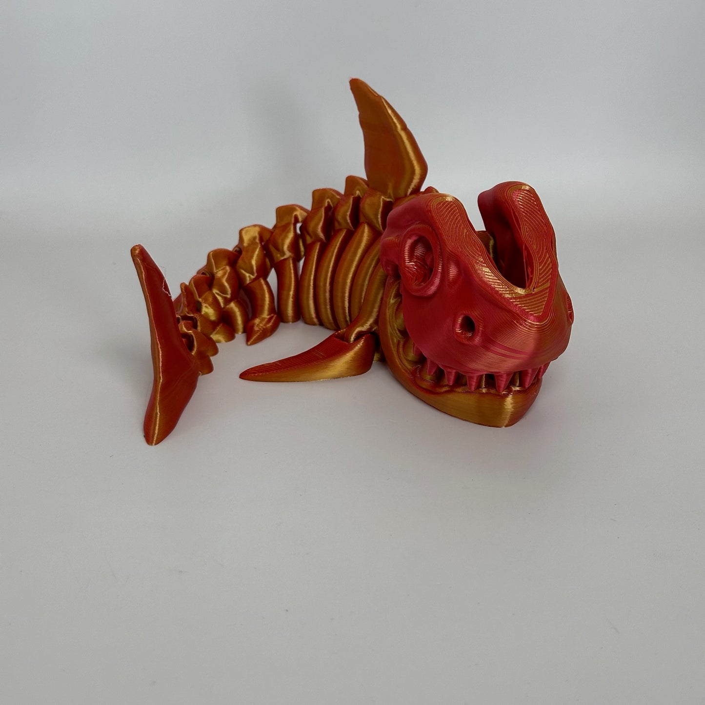 Skeleton Shark