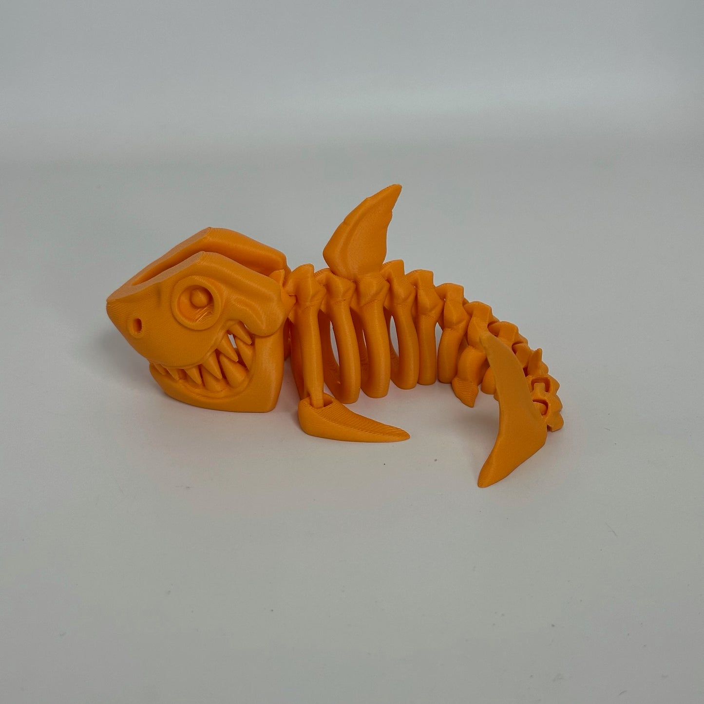 Skeleton Shark