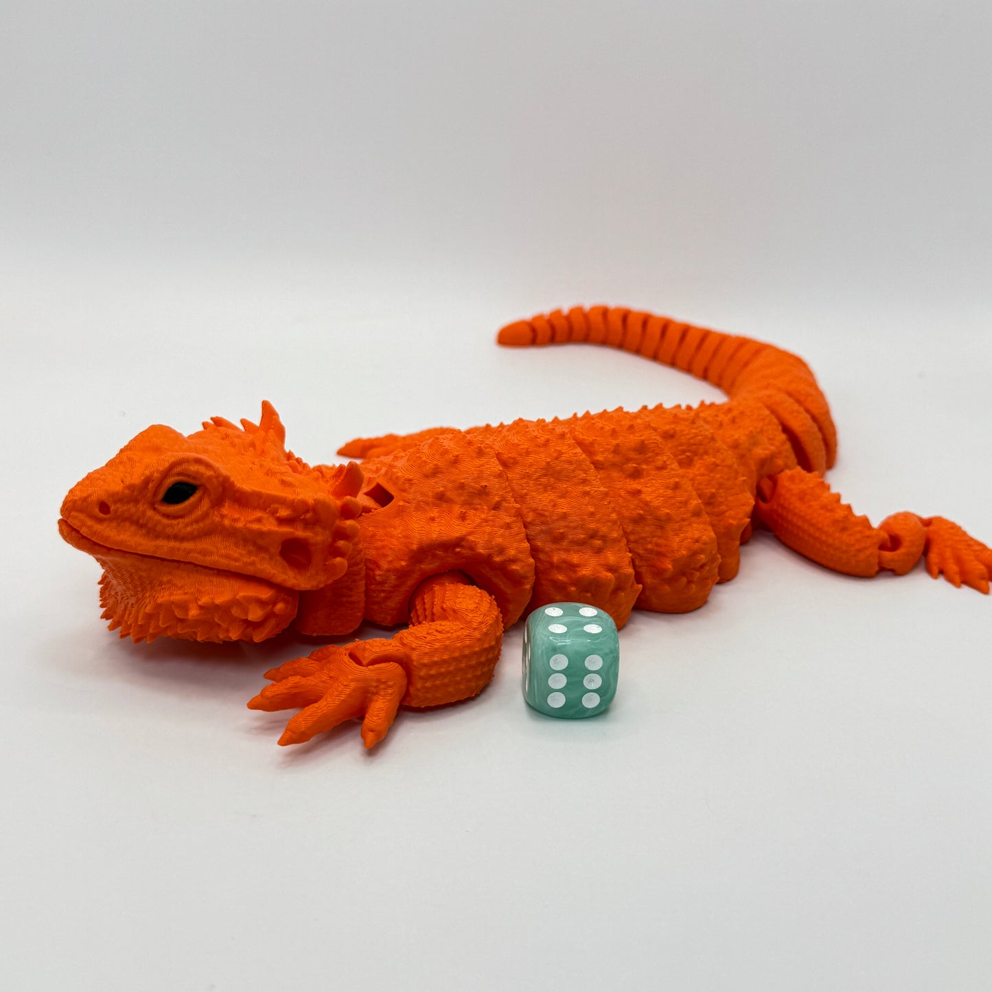 Bearded Dragon