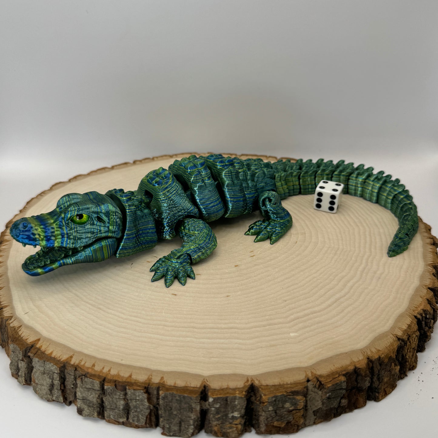 Alligator